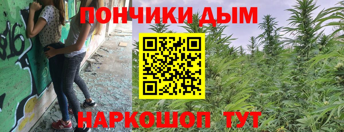 Бошки марихуана Ganja Гусиноозёрск